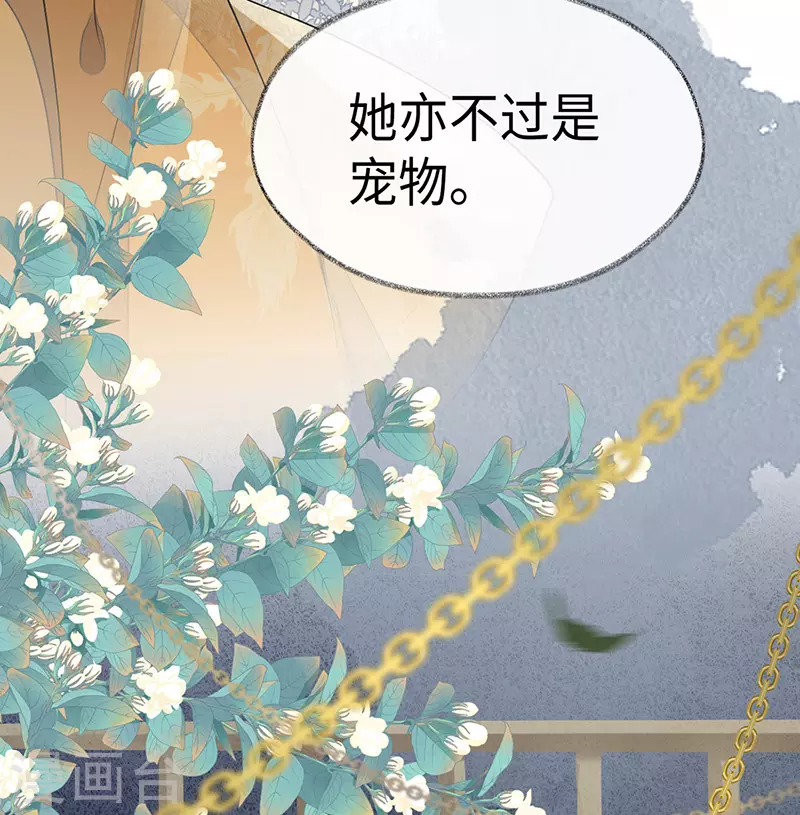 第104话 暴君之爱2