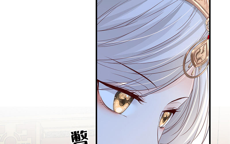第17话 全都纳入宫吧！13