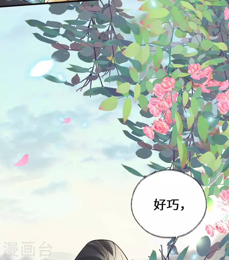第106话 金屋锁卿卿25