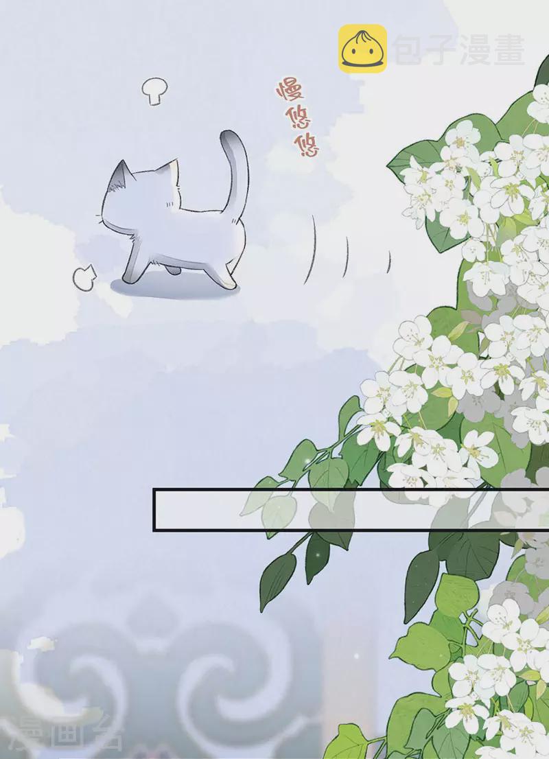 第179话猫咪踩奶21