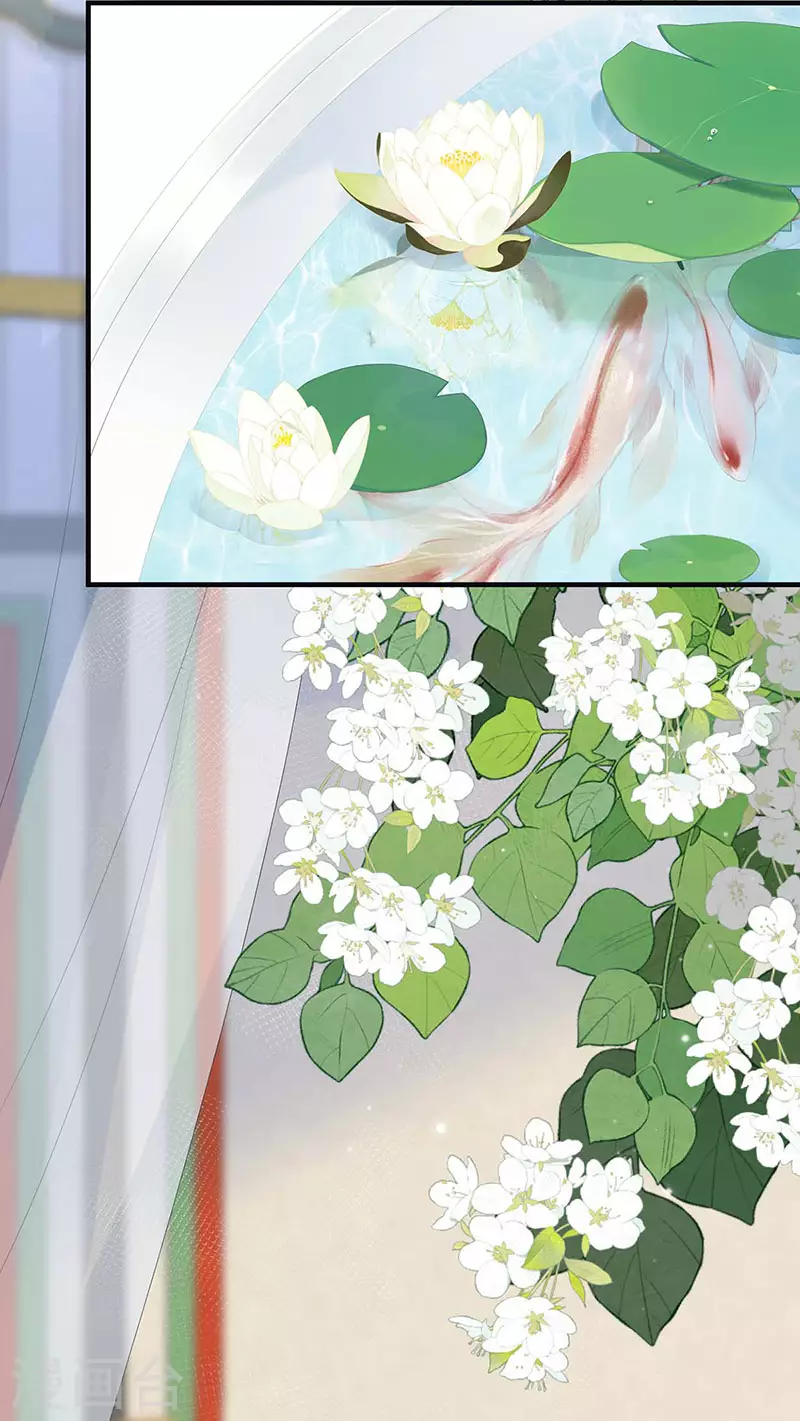 第179话猫咪踩奶22