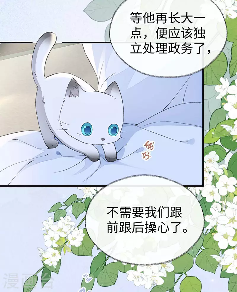 第179话猫咪踩奶27