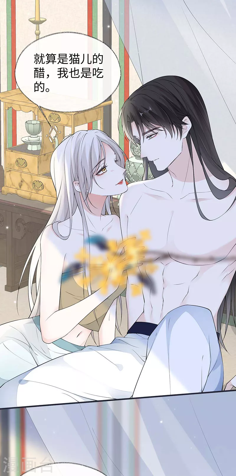 第179话猫咪踩奶5