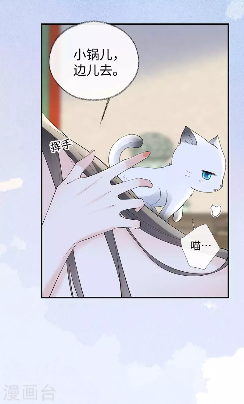 第179话猫咪踩奶20