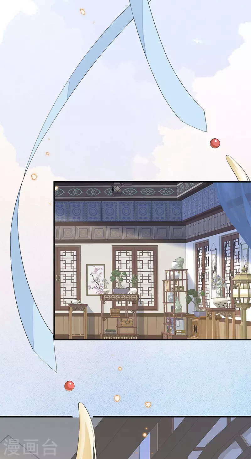 第179话猫咪踩奶33