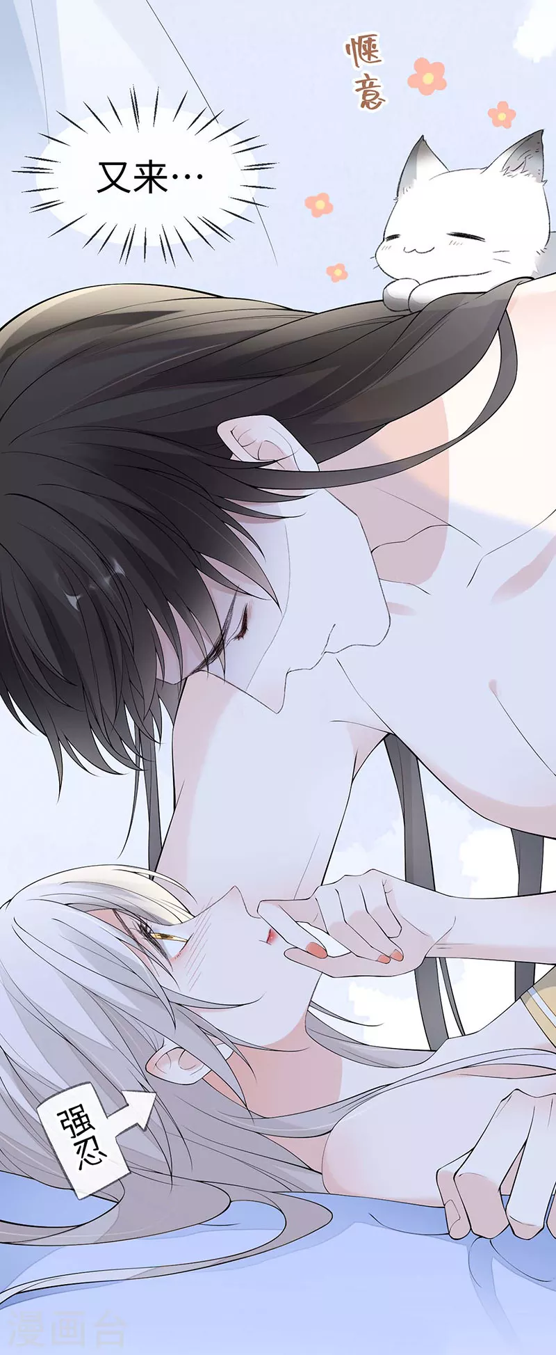 第179话猫咪踩奶13