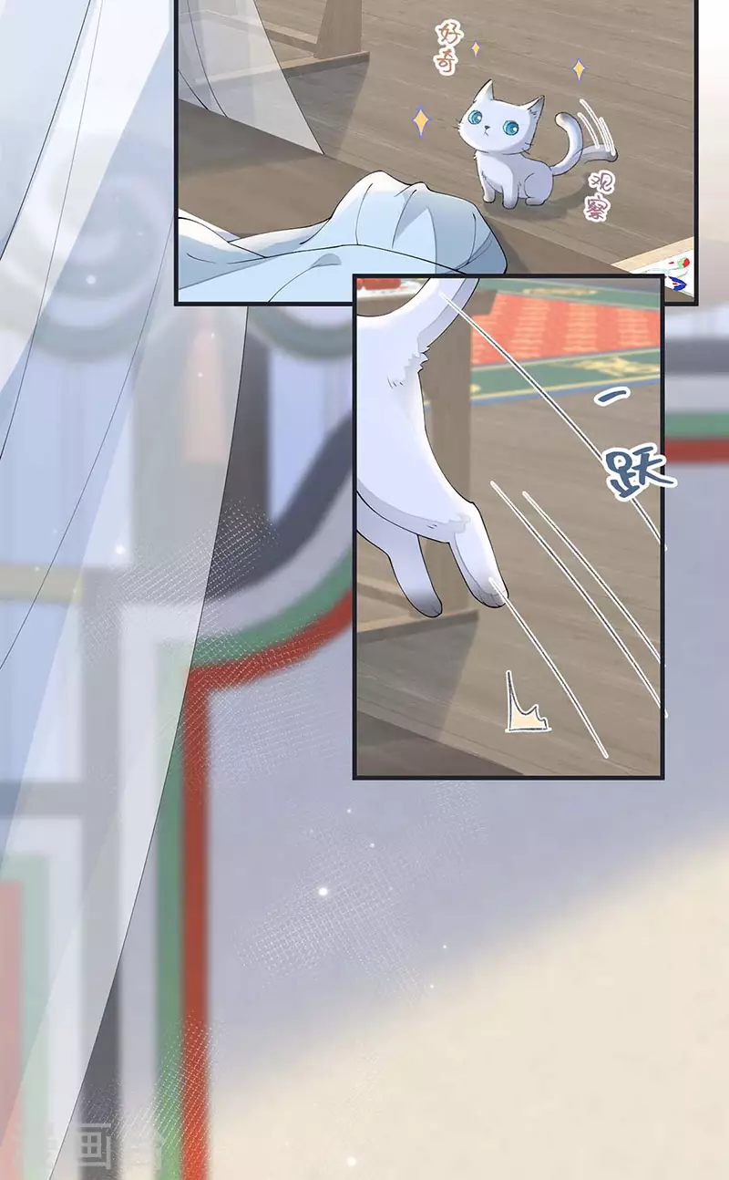 第179话猫咪踩奶11