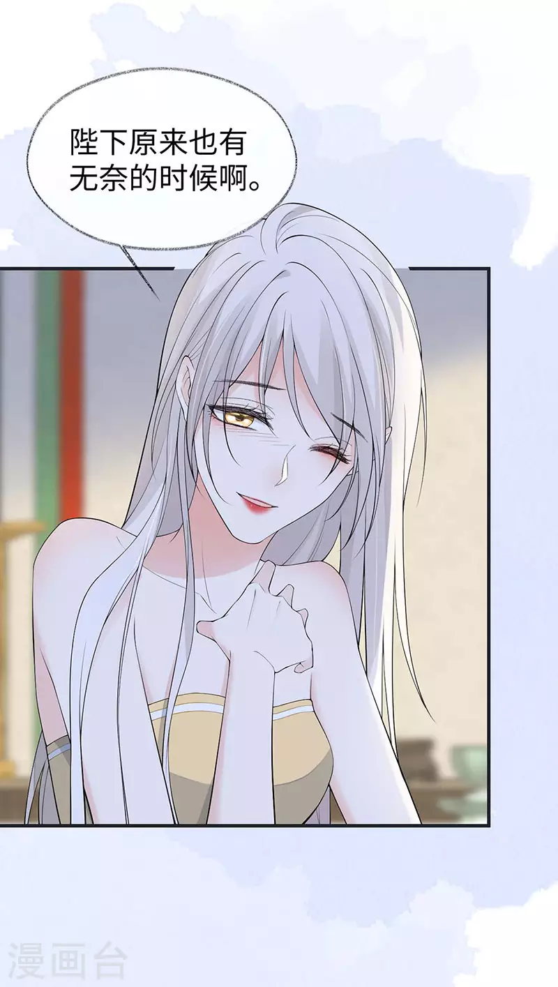 第179话猫咪踩奶16