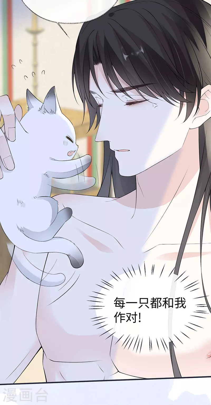 第179话猫咪踩奶3