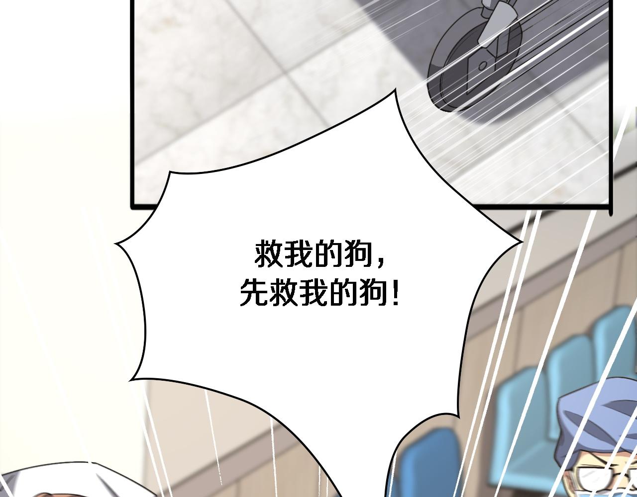 第105话 救治警犬21
