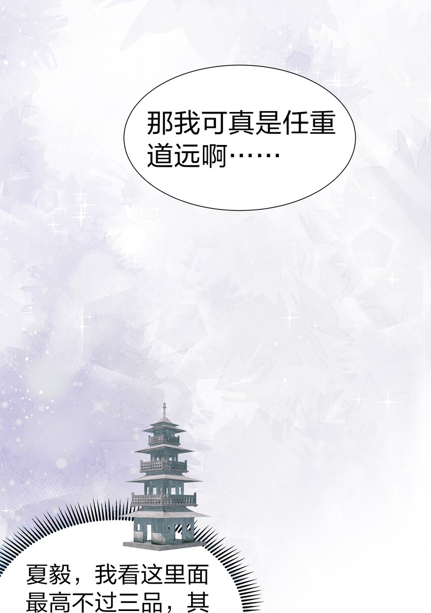 82 灵药！稀有体质19