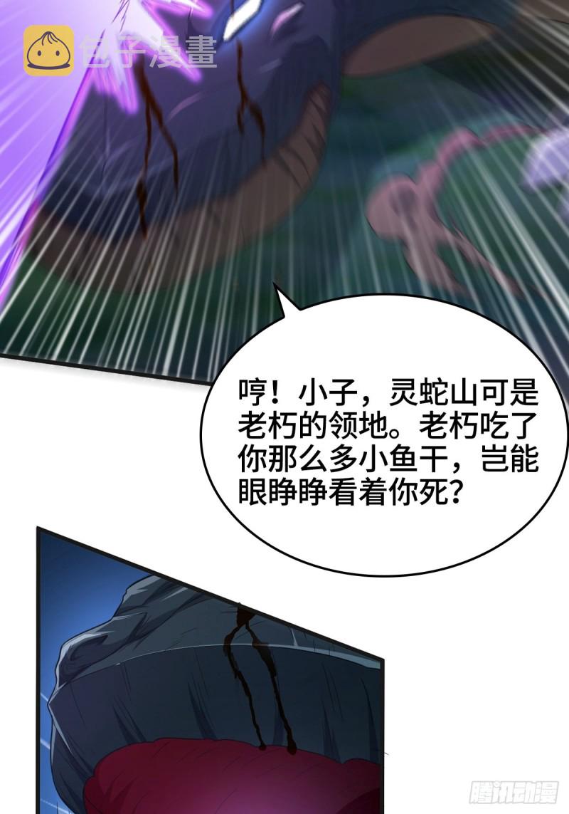 龙王龟的意志11