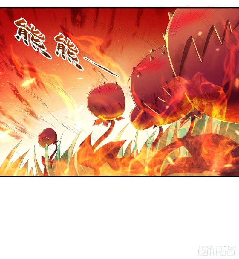 花海20