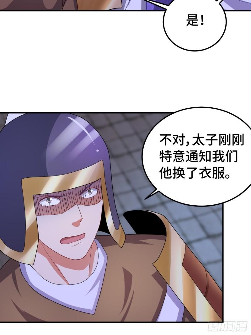 狸猫换太子23
