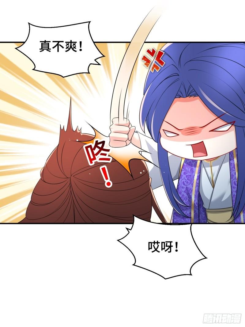 新的计划5