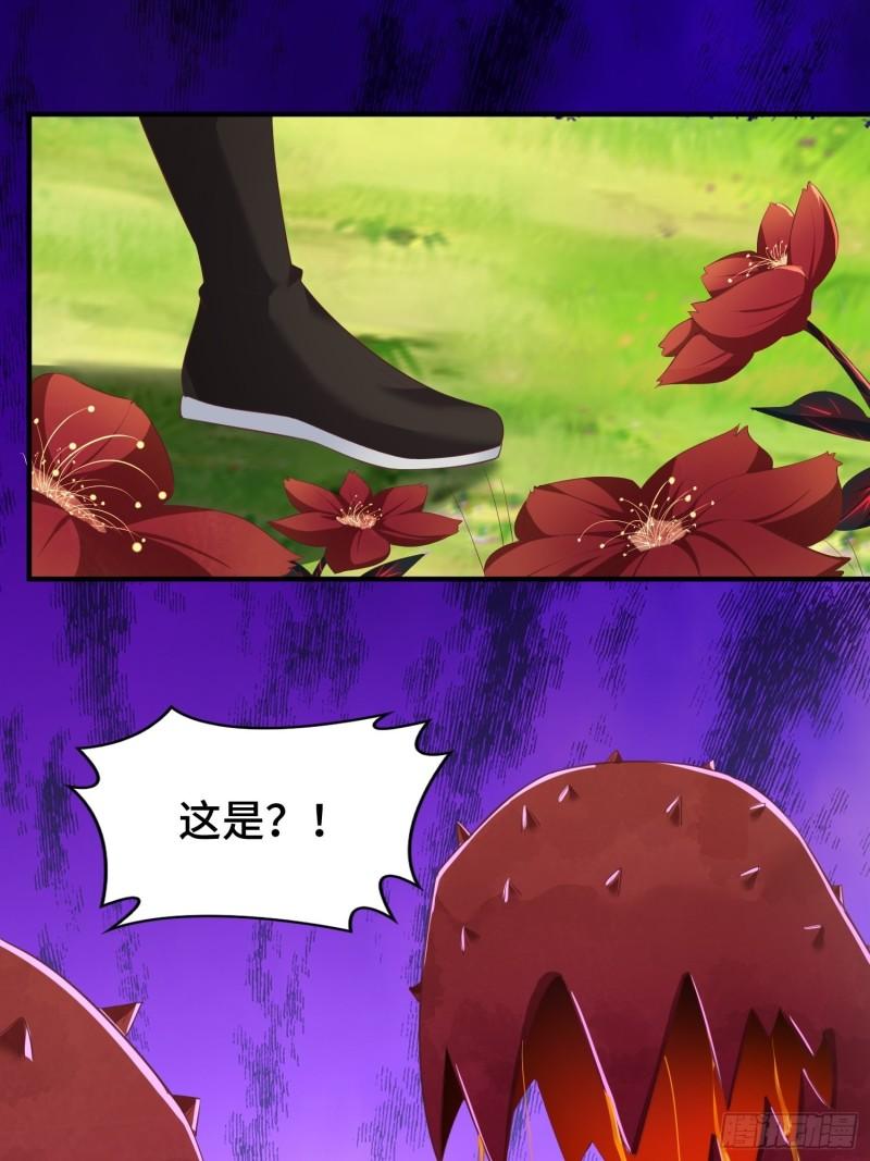 花海14