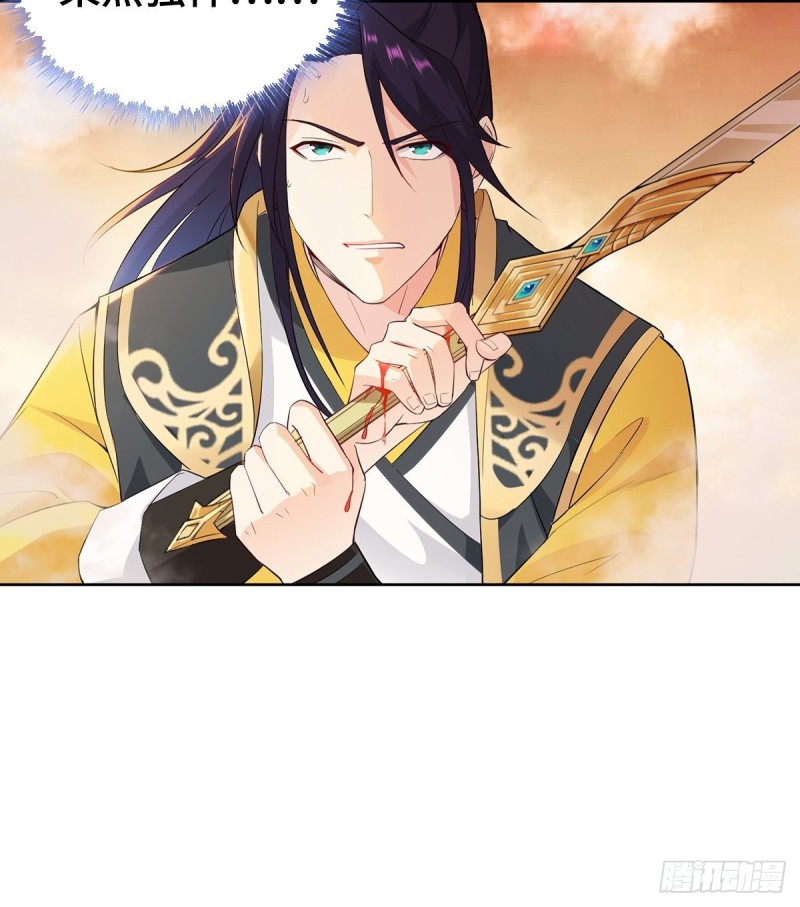 比翼双飞11