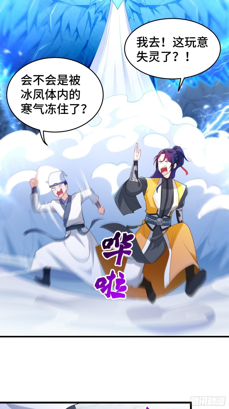 雪原冰凤19