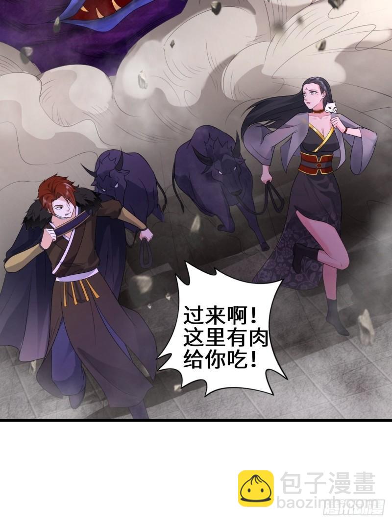 灰白一体15