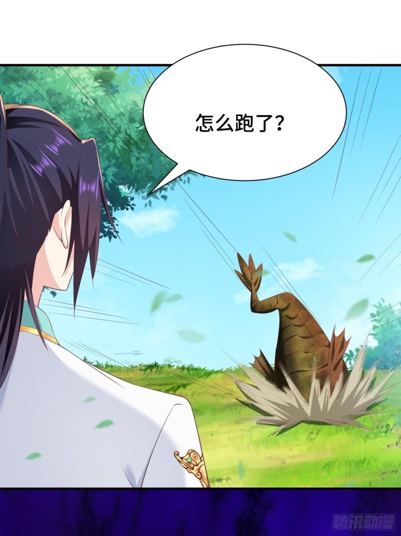 花海13