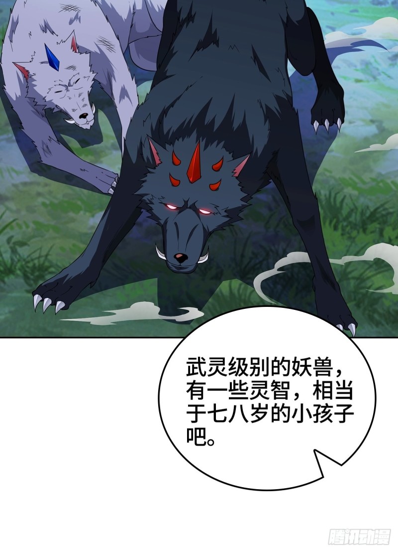 黑森林的真正核心20