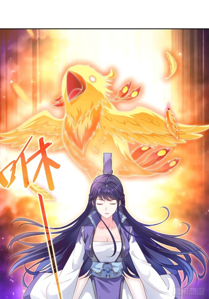 黄毛鸡血脉24