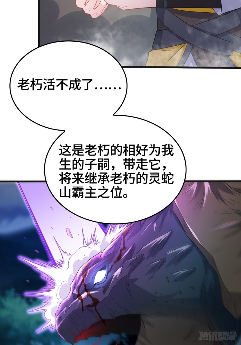 龙王龟的意志13