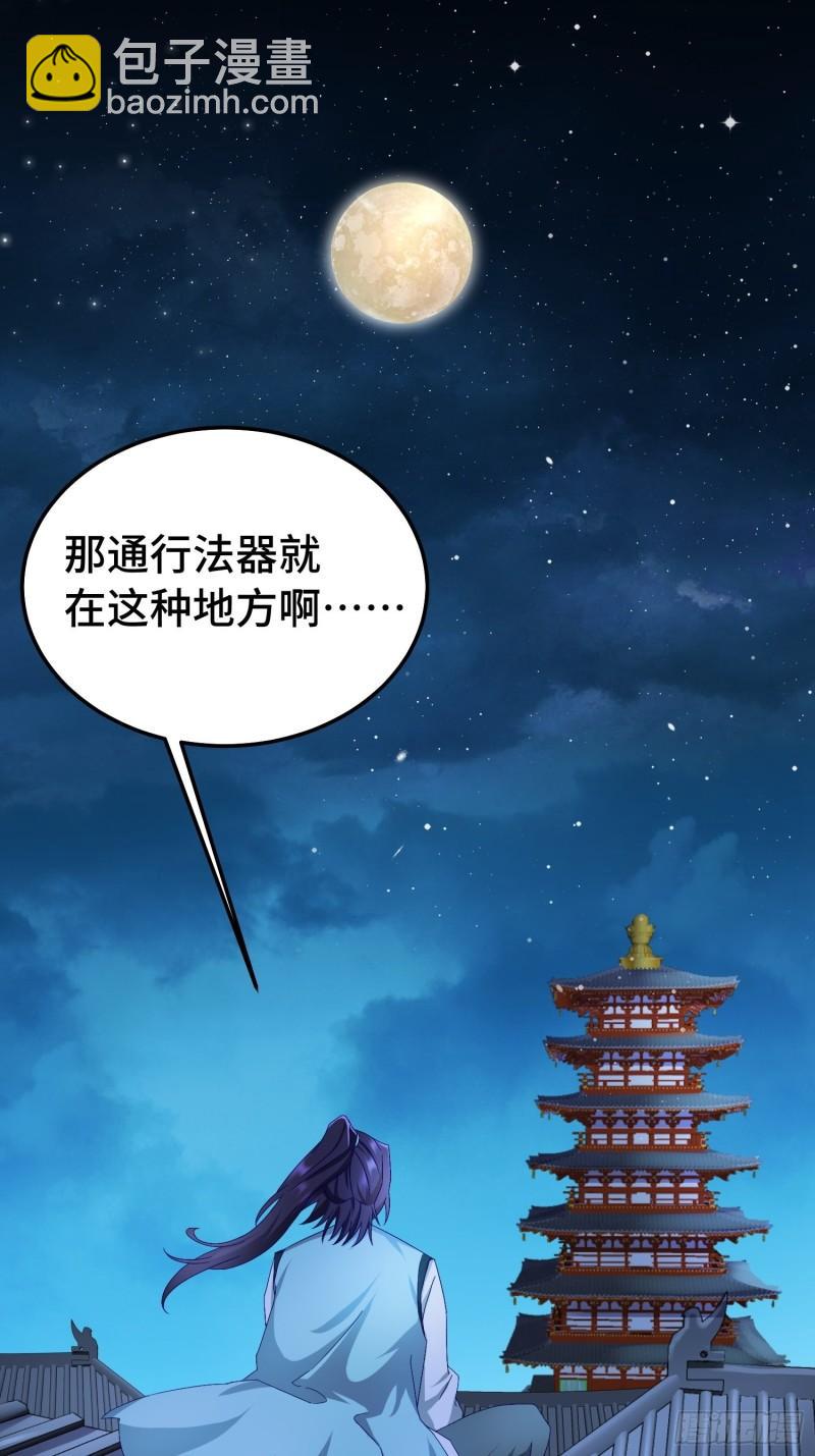 狸猫换太子1