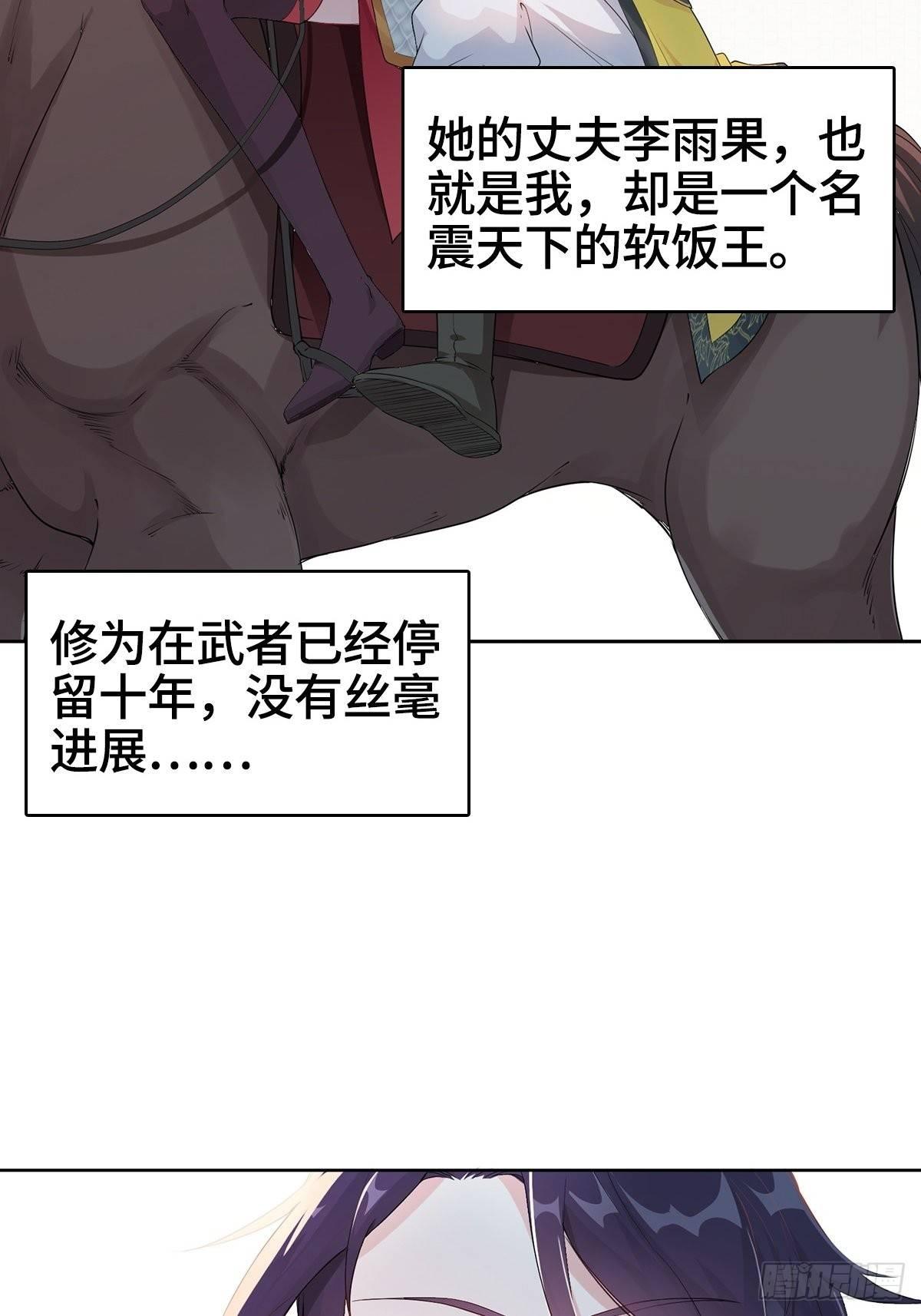 纳兰城的软饭王14