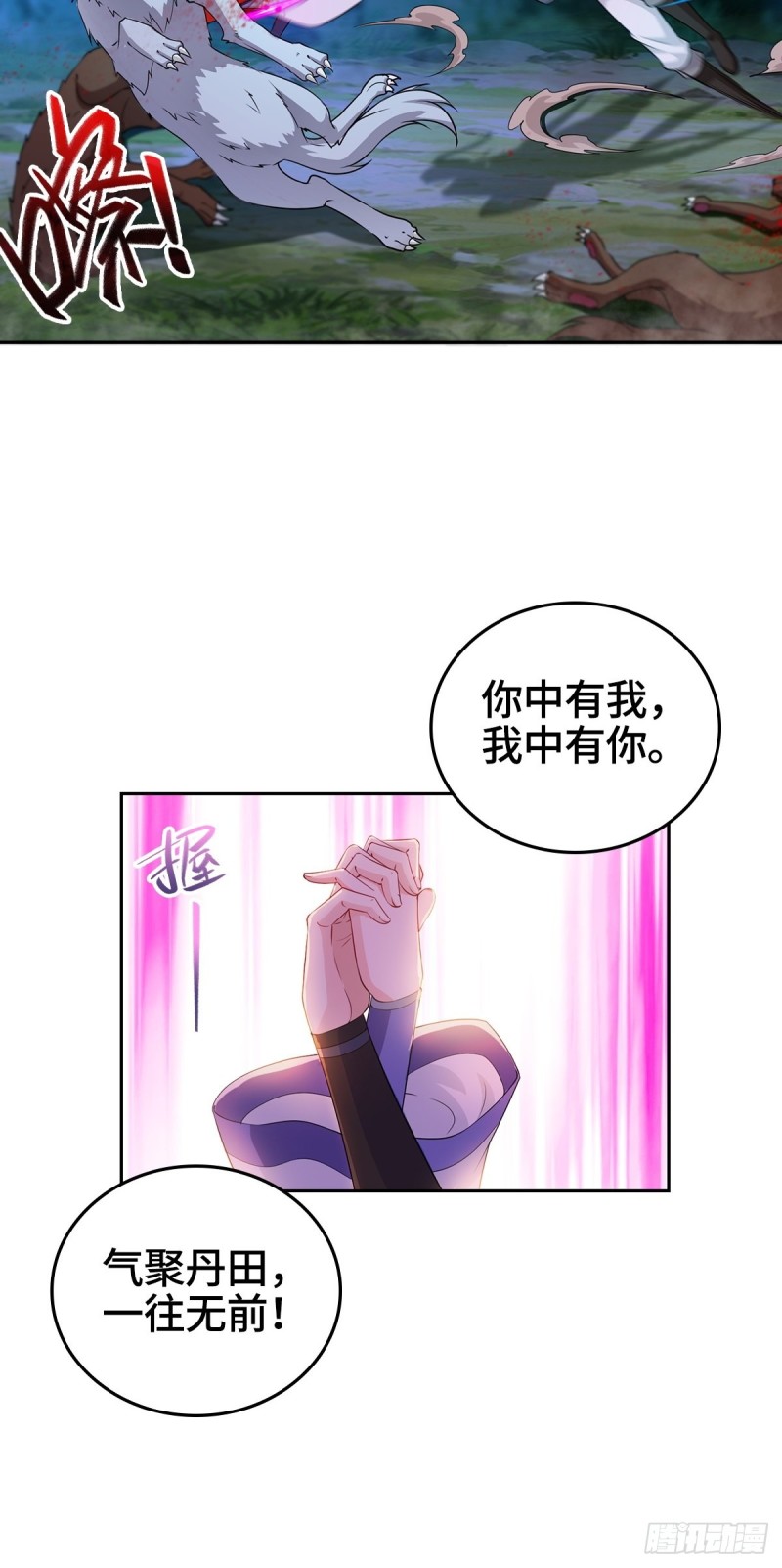 黑森林的真正核心15