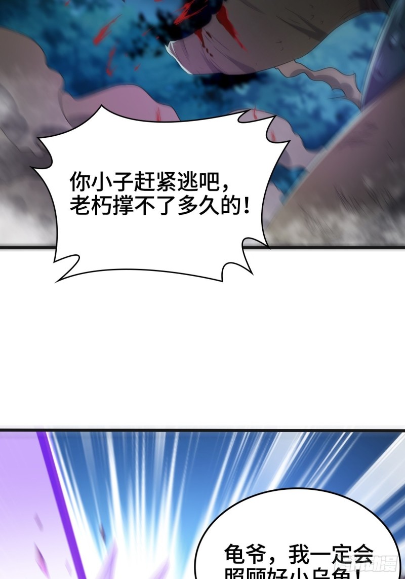 龙王龟的意志14