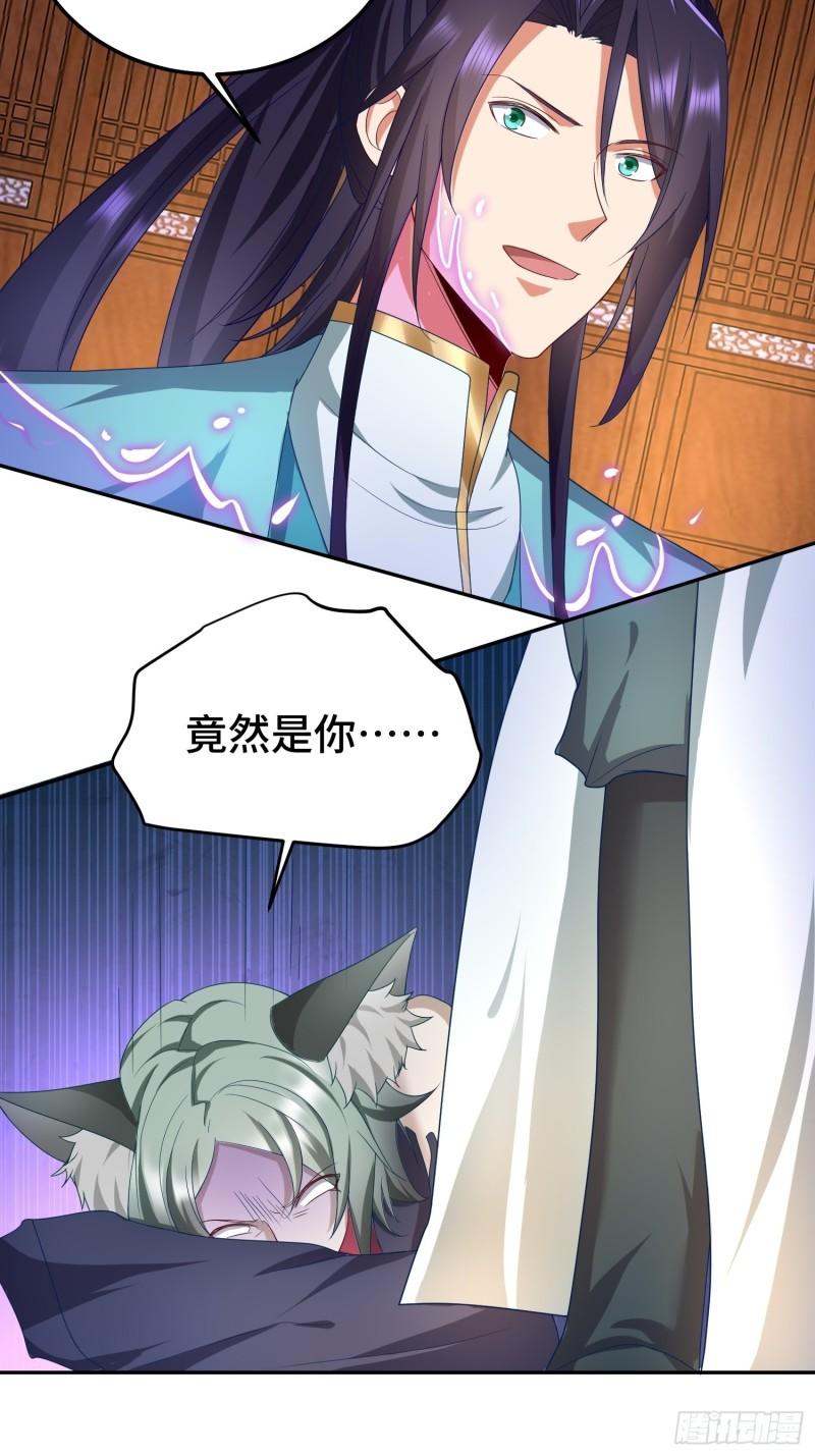 狸猫换太子20