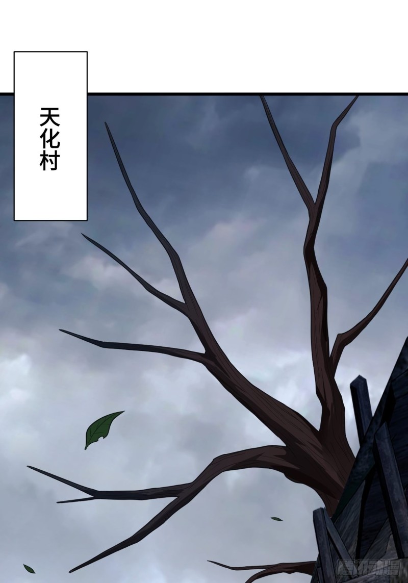 天化村19
