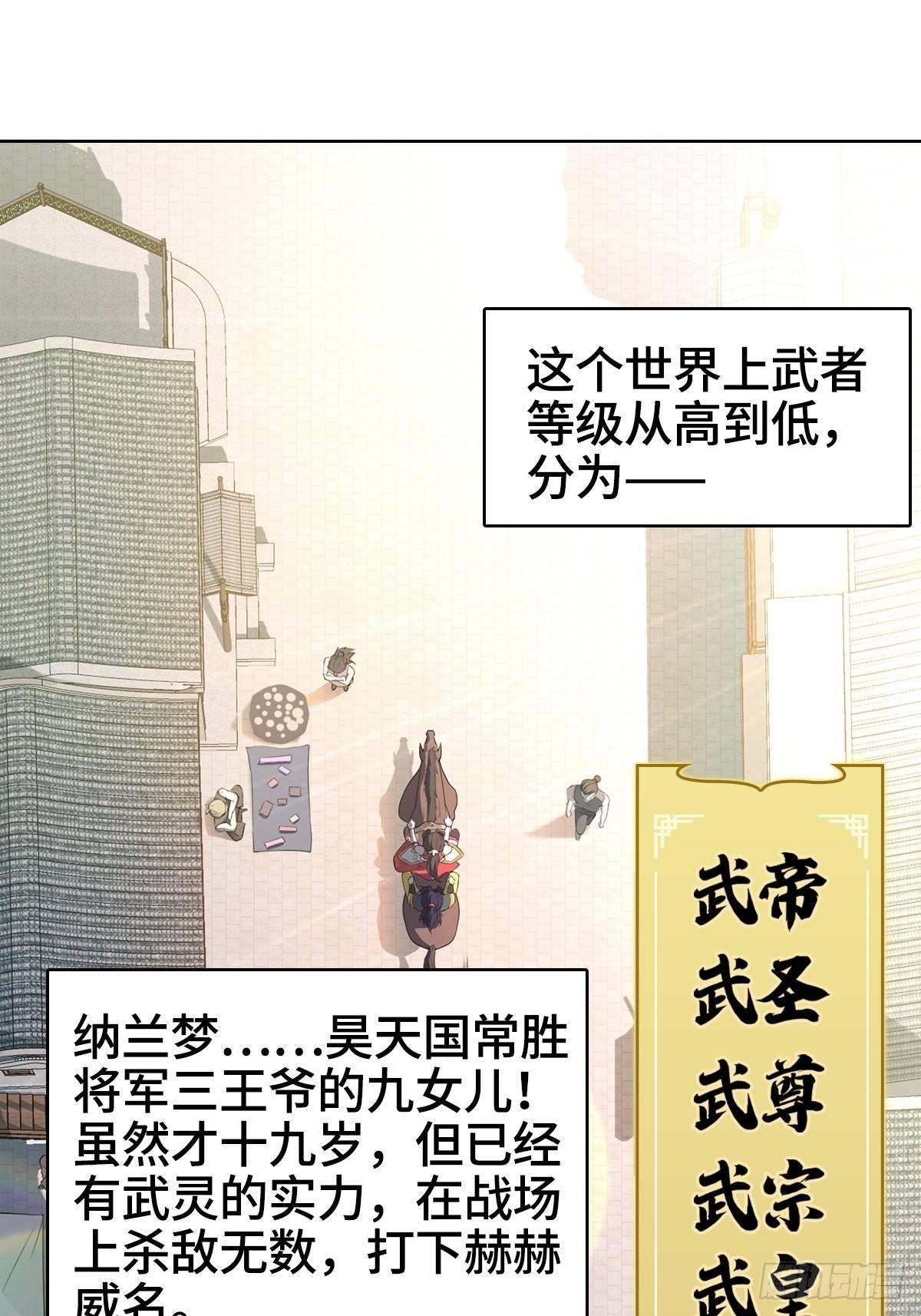 纳兰城的软饭王12