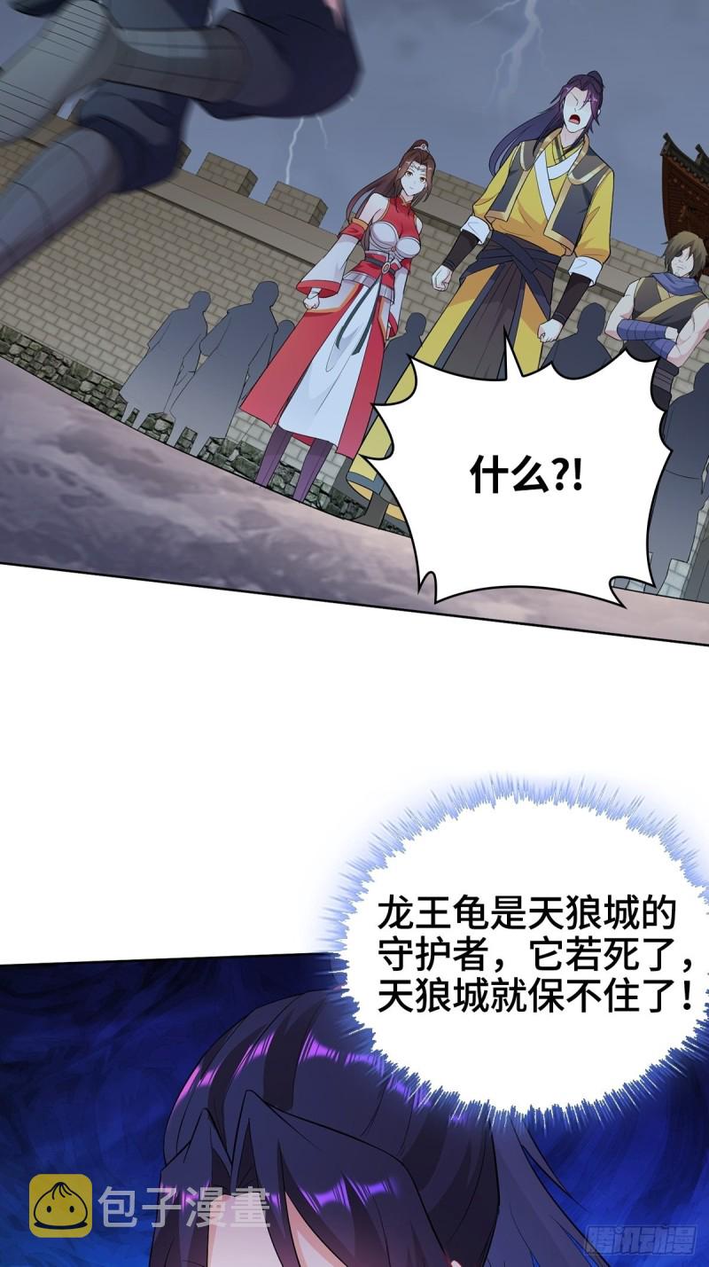 援救龙王龟29