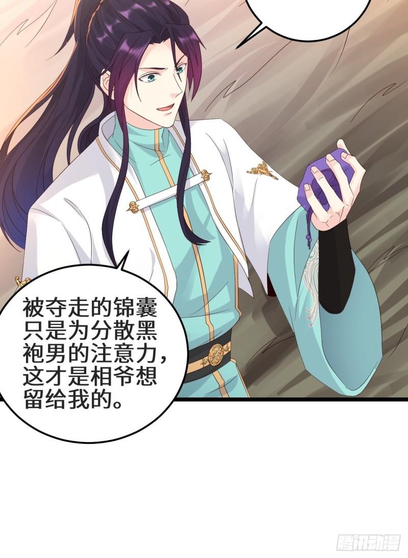 最后的谋略14