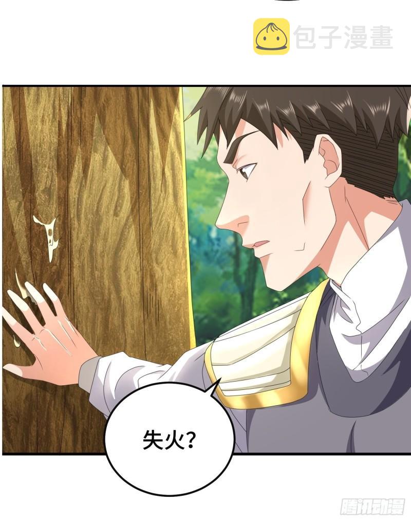 叶狂和叶枫8