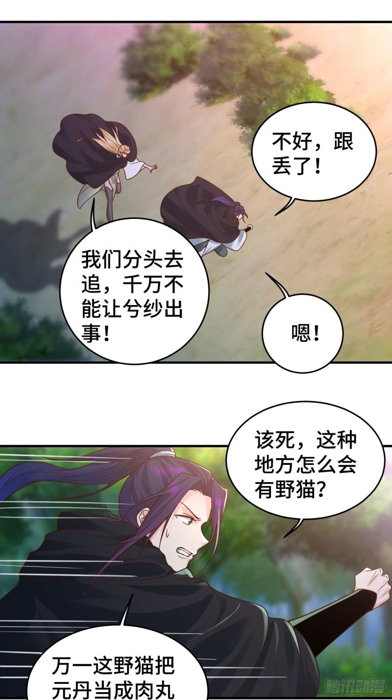 妖猫夺丹13
