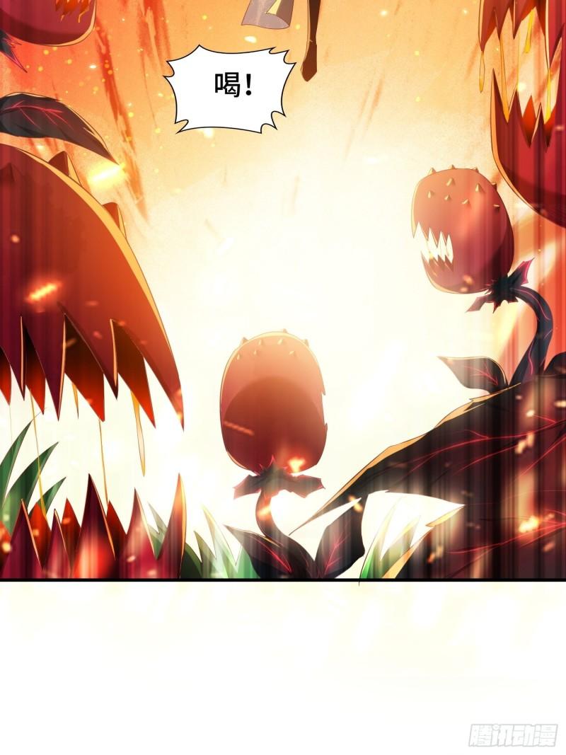 花海19