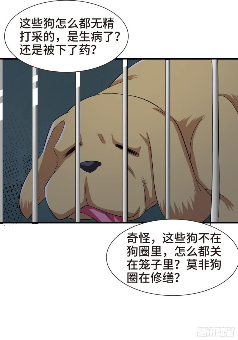 结实的胸肌18