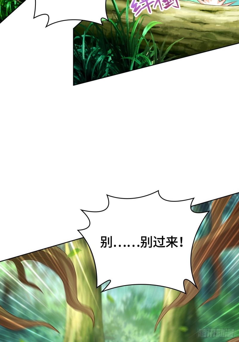 再遇纤尘11