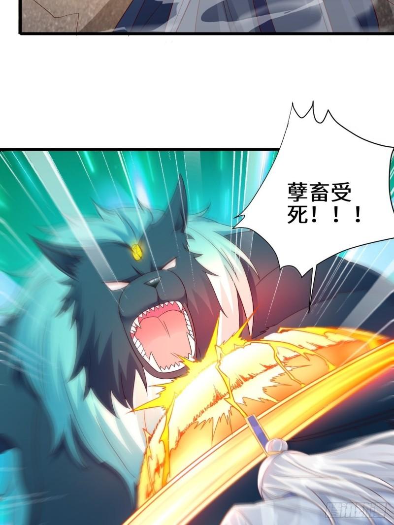撤军回金17