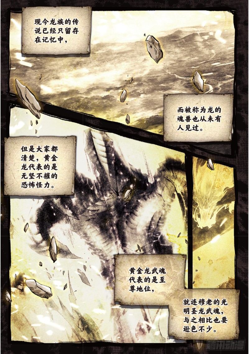 206 黄金龙6