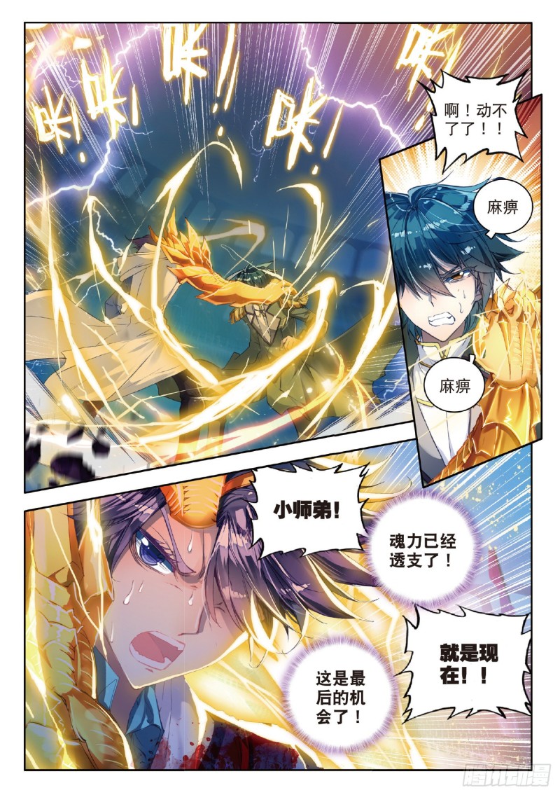 73 黄金圣龙8