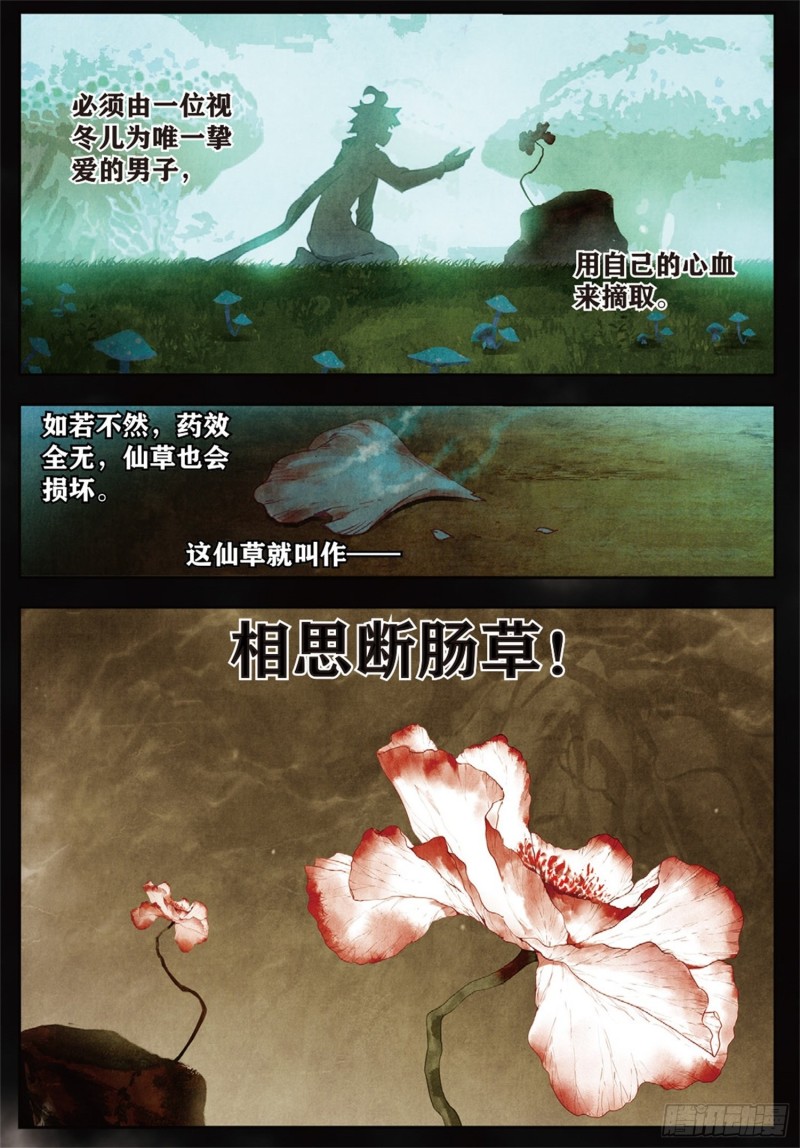 251 锦囊的真相11