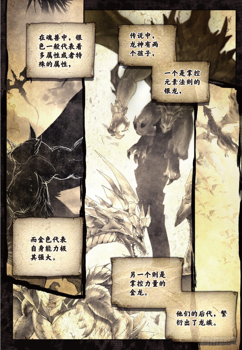 206 黄金龙5