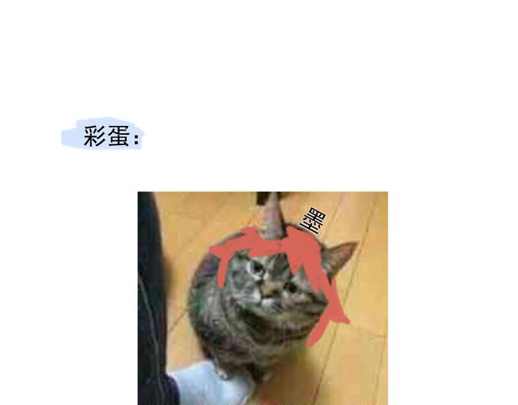 第62话 你喜欢她？102