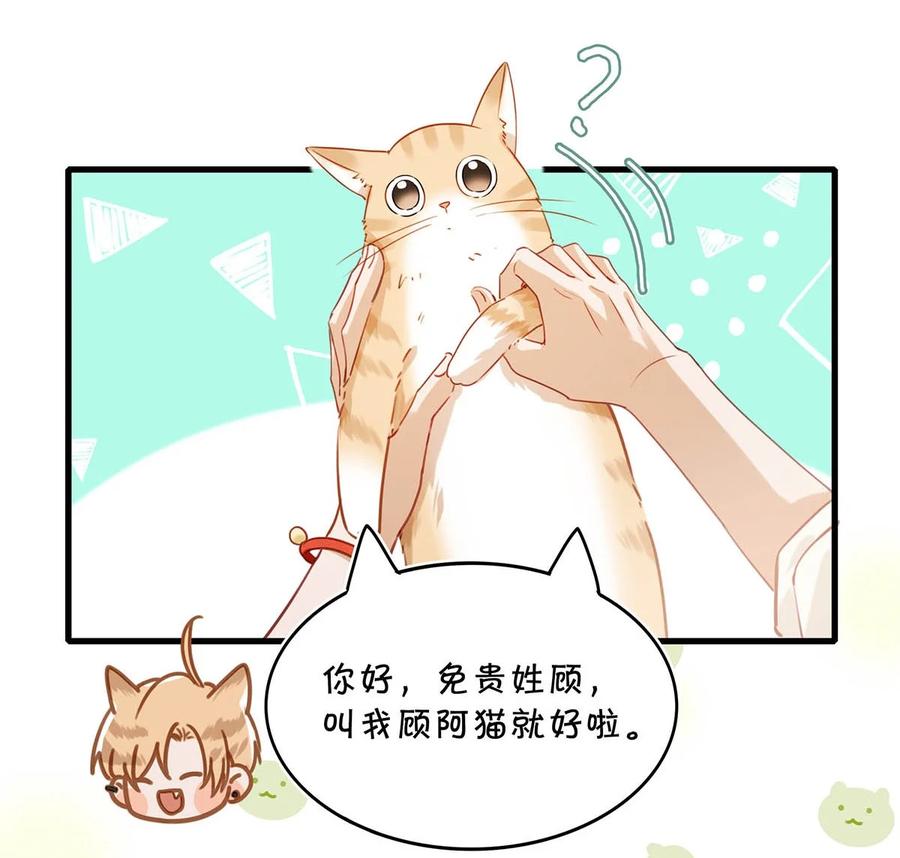 053 我有依了，顾依凉的依。19