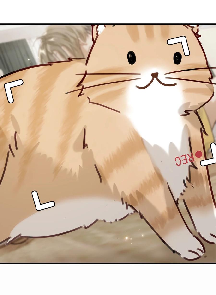 番外 一周年漫画独家专属番外46