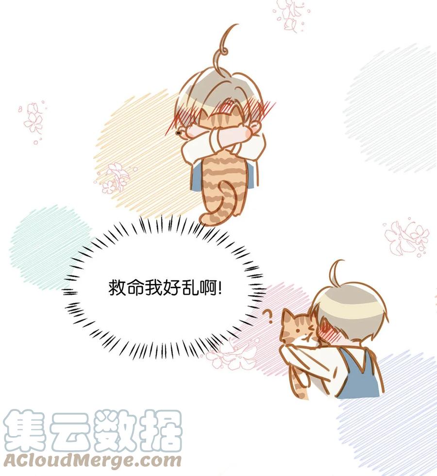 053 我有依了，顾依凉的依。10